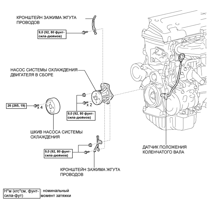Camry ASV50 GSV50 ACV51.Система Охлаждения Двигателя 1Az-Fe.Система Охлаждения.Насос системы охлаждения  узлы и детали